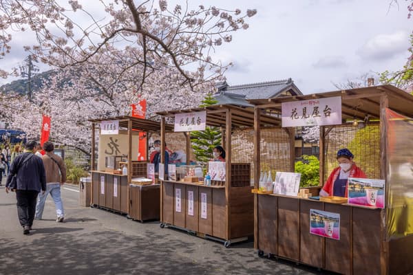 排列著街頭美食攤位,非常適合賞花