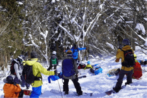 Learning about water cycles and plant life in the forest