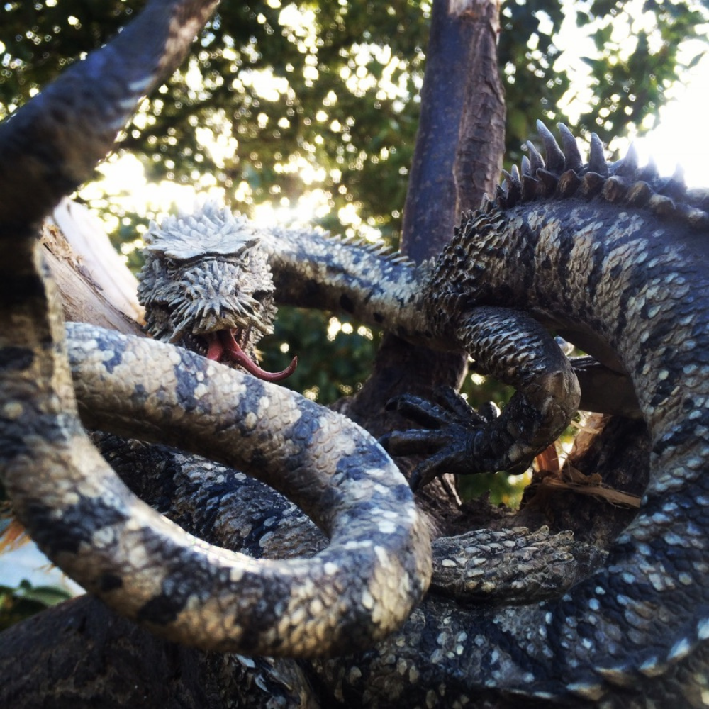 Dragon