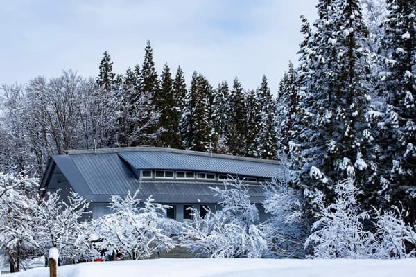 被雪覆盖的酒厂建筑