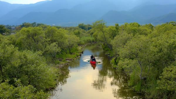 在 Everglades Biwako 的近江舞子內湖體驗私人獨木舟