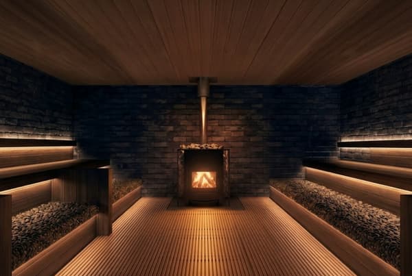 可容纳40人的大型柴火桑拿室（图片）
