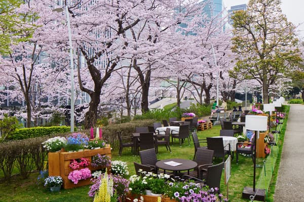 东京 Midtown 春季活动场景