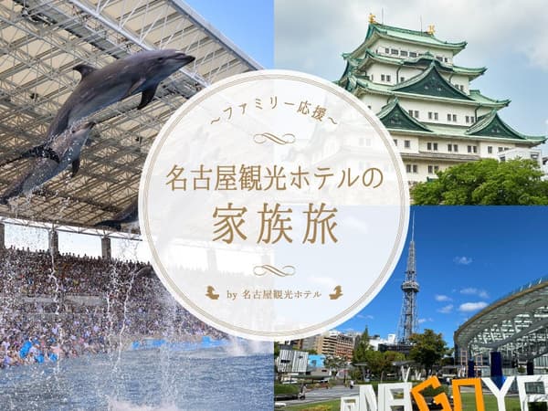 Family Travel Support Plan