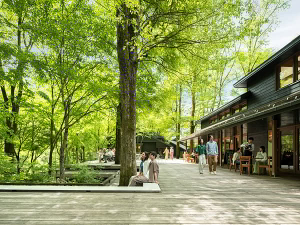 轻井泽星野区域榆树露台