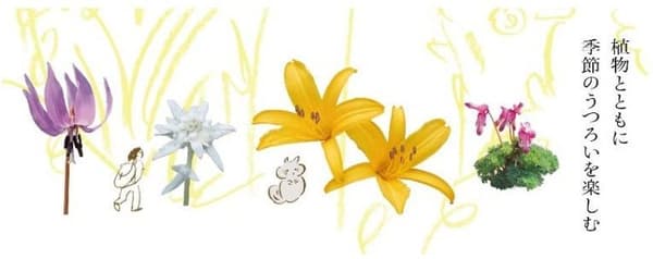 六甲高山植物園 × Calendar Life 花日和活動宣傳圖