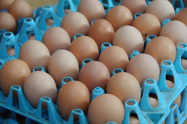 Okukuji eggs