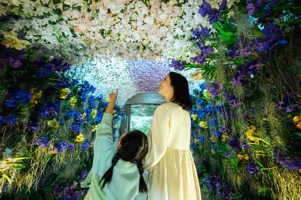 Okinawa International Orchid Show