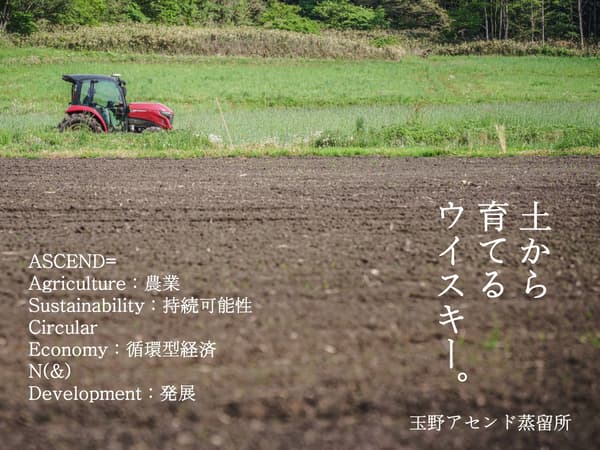 Corn grown on farmland around Tamano Ascend Distillery
