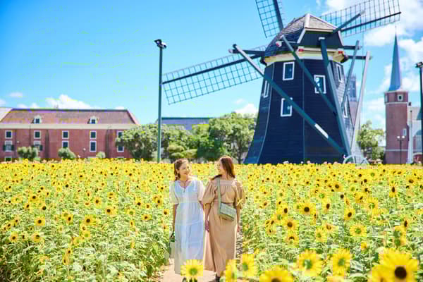 Sunflower Celebration