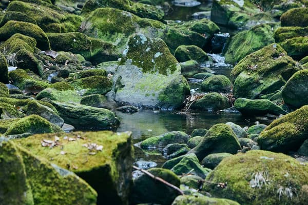 奥大和的丰富自然和祝福