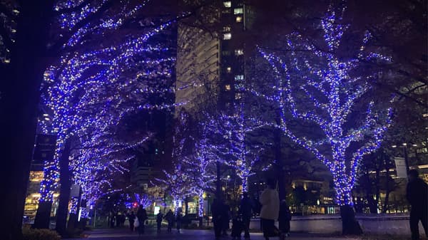 Yokohama Mirai Light 2025 - A City of Light Illuminating the Future