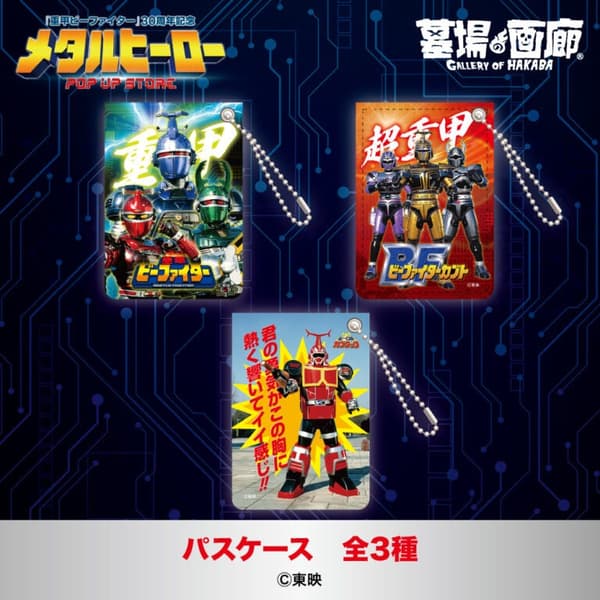 Pass Cases