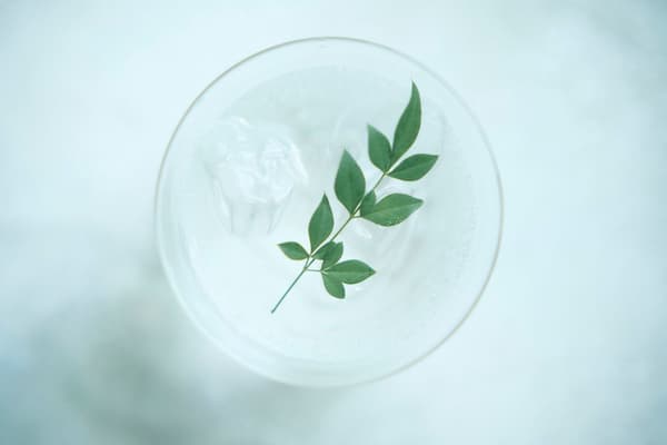 HOLON GIN ORIGINAL renewal