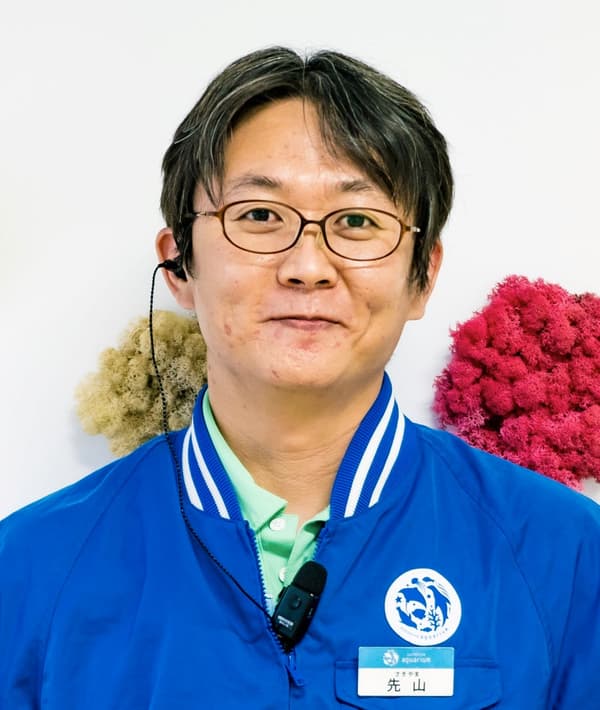 선샤인 수족관 이벤트 비주얼