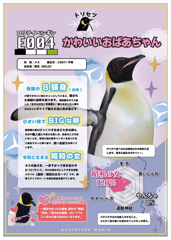 個別企鵝檔案簡介