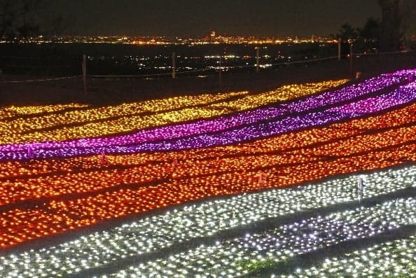 Mother Farm Illumination, view 2