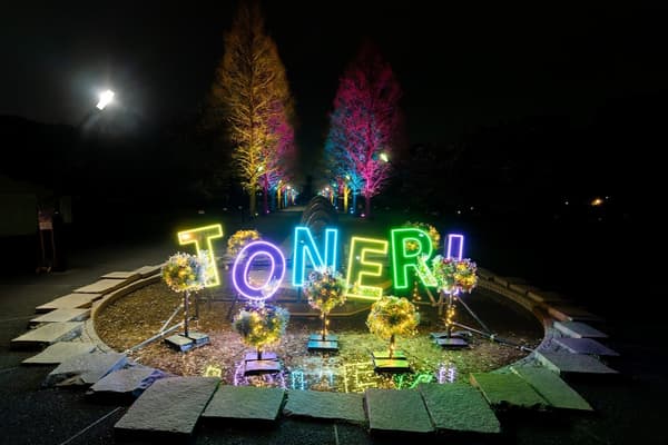 TONERI霓虹字母牌与镜面字母相映，周围是春季花园