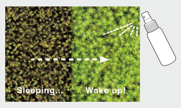 可见的变化令人愉快