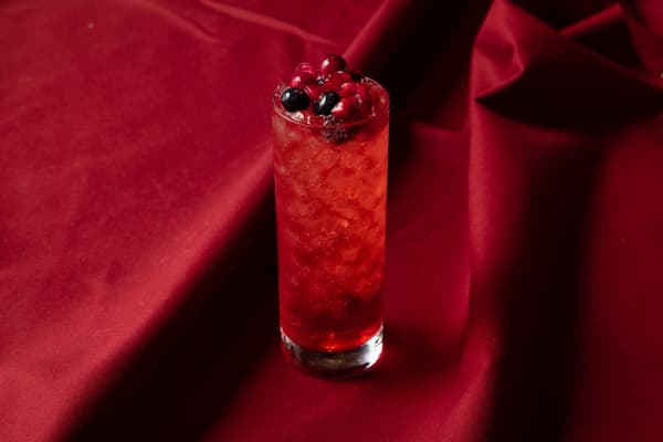 Dulces Rouge d'hiver en Pine Terrace 6