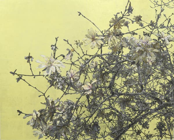 大泽拓也的作品