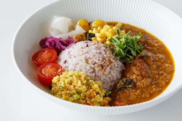 CAFE USEUM ARITA 以有田燒盛裝的純素午餐套餐