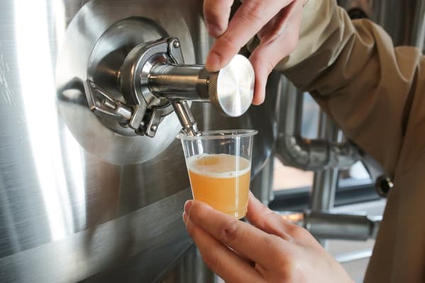 Brewery tour tasting experience