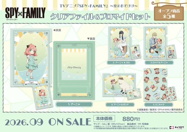 Clear File & Bromide Set