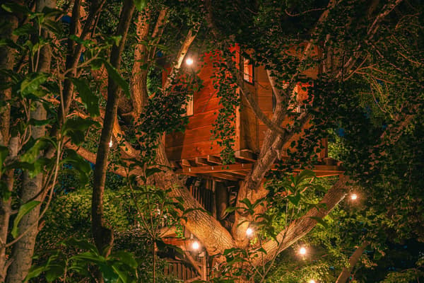 A dramatic night view with fantastical lighting