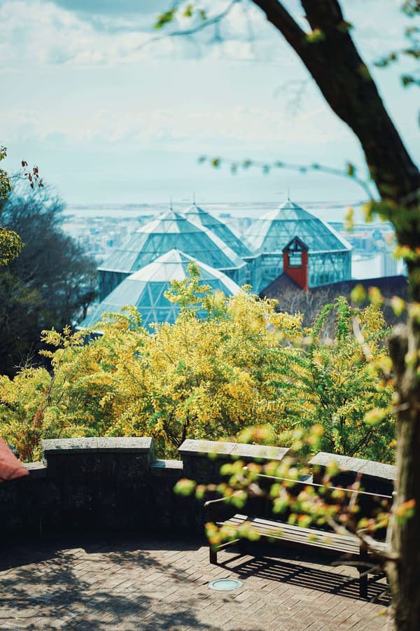 从平台上看到的景色：含羞草、神户城市景观和玻璃屋