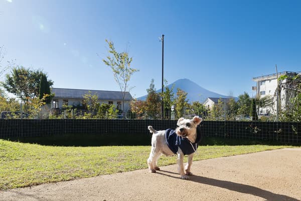 拥有可俯瞰富士山的狗狗跑道的宽敞草坪花园