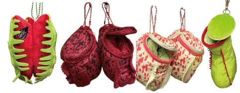 Carnivorous plant merchandise, including a Nepenthes pouch sized to hold a 500ml bottle