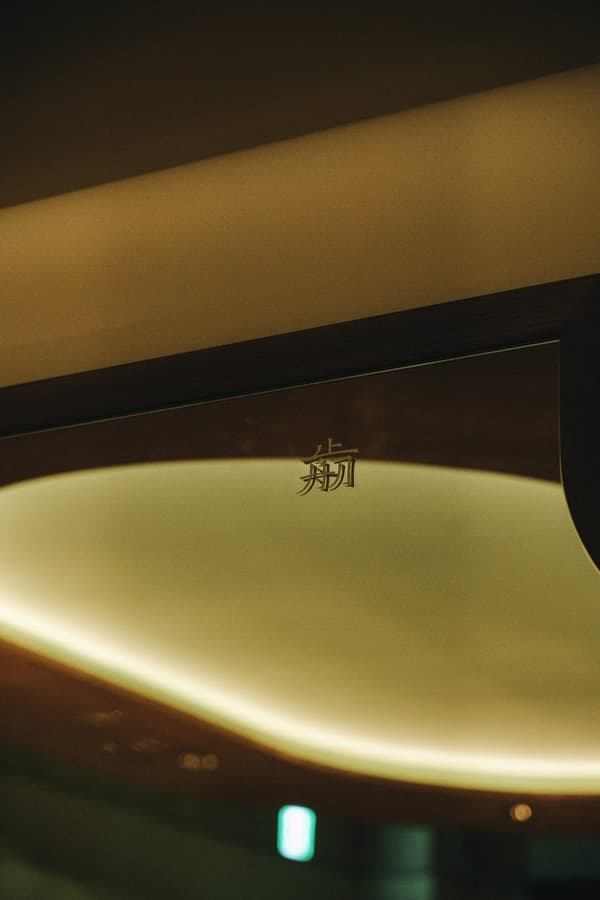 The mae logo mark beside the ceiling light