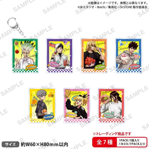 Dr. Stone Trading Acrylic Keychain