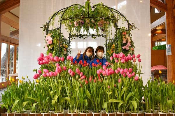 จุดถ่ายภาพใกล้ทางเข้าที่คุณสามารถถ่ายภาพกับสัตว์เลี้ยงของคุณได้