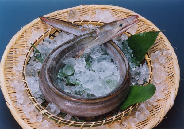 ปลาไหลทะเล (ฮาโม) จากเกาะอาวาจิ