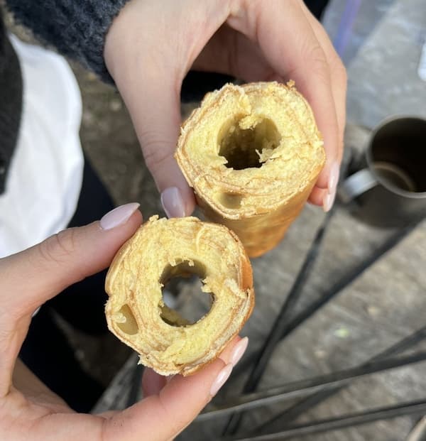 Experiencia de mantenimiento de bosques de bambú y elaboración de Bamboo Kuchen (imagen)