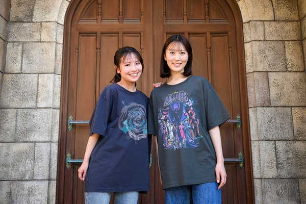 Disney Villains merchandise