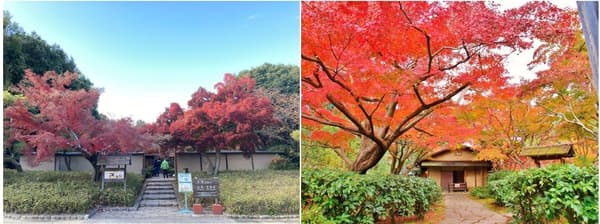 Han-an and Banri-an in the Japanese Garden
