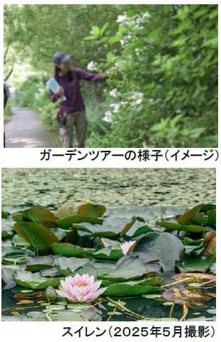 Garden herb and flower picking guided tour