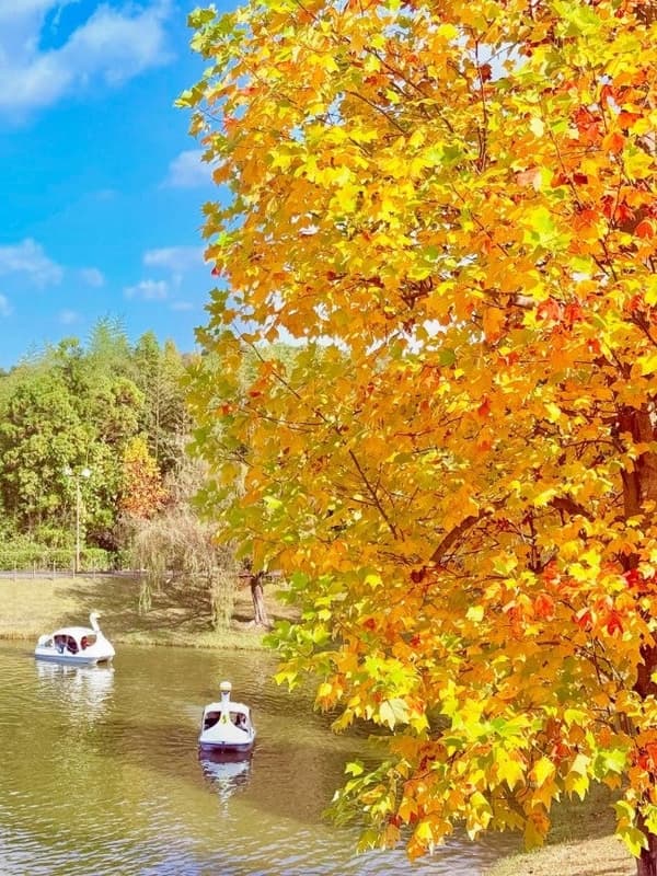 Grand prize work in the Autumn category of the 2025 contest