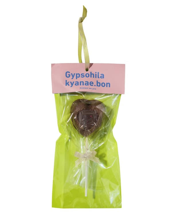 Gypsohila × kyanae.bon 棒棒糖（布朗尼）（1个）940日元 [阪急梅田总店限定]