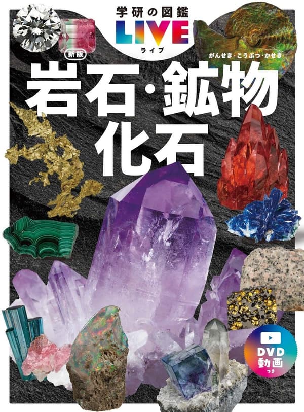 Book cover of the Rocks, Minerals, and Fossils volume