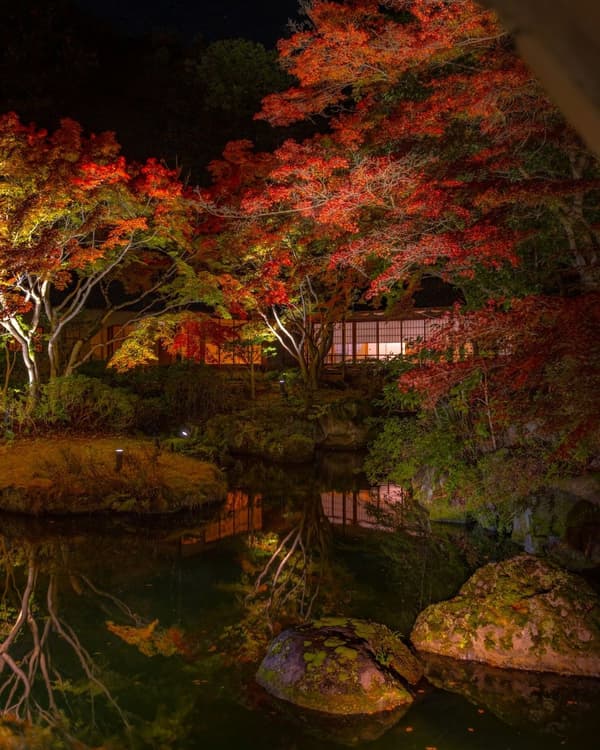 秋季夜間點燈的日式庭園