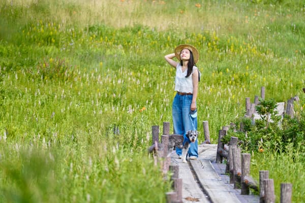 El humedal de Nyukasa rodeado de flores silvestres en las frescas temperaturas estivales