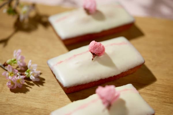 樱花费南雪蛋糕