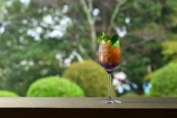 Resol no Mori森林中发光的萤火虫