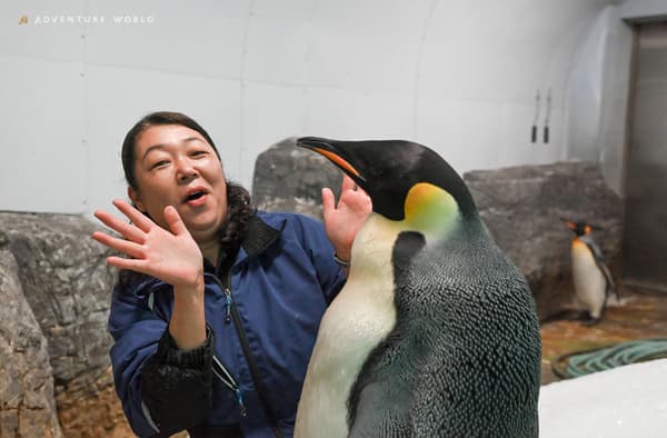 動物教育解說員 Nao-san