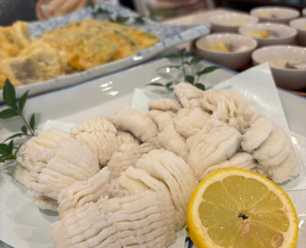 Hamo, lightly parboiled (yubiki)