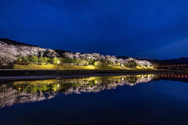 從4月1日起,點燈範圍也擴展到新橋和浦田橋之間的區域